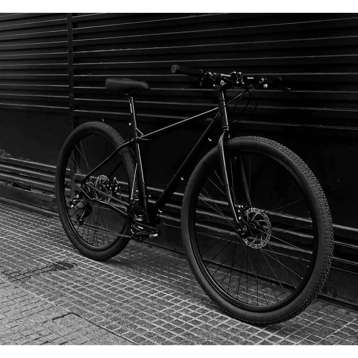 vistazo brandy actividad Bicicleta Rodado 29 Mtb Modelo Patagonia - Bici Urbana