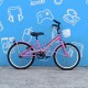 Bicicleta Rodado 20 Pink