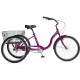 bicicleta tipo triciclo Rodado 24 Jamis Taxi Trike LIQUIDACIÓN