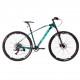 Mtb Zion Ovanta Rodado R29 monoplato