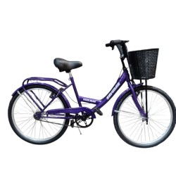 Bicicleta Sanmar con Canasto R24 Nena