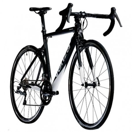 Bicicleta Rutera Venzo Phoenix Shimano Claris 2026