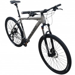 Raleigh Mojave 2.0 Hombre Rodado 29