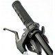 Mtb Zion Frisk Rodado R29 monoplato