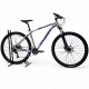 Raleigh Mojave 4.0 Shimano Cues 2x9 2026