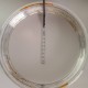 9 Aros R26 de aluminio clincher cromo 32H LIQUIDACION