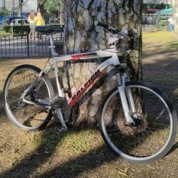 Raleigh Mojave 4.0 Disco USADA